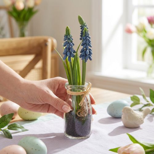 Jácint mesterséges Gyöngy jácint kék üvegben H22cm 2db | Floristik24.hu