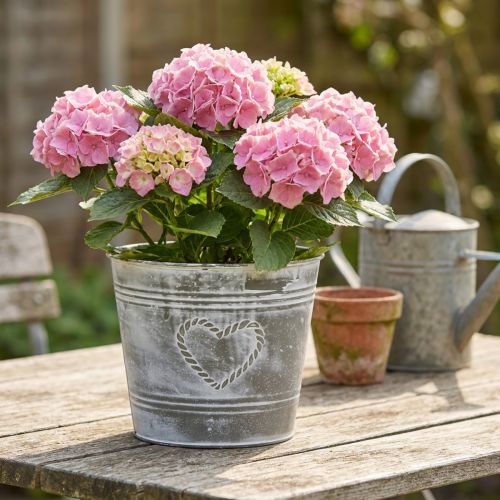 Shabby Chic fém virágcserép szív alakú mintával, Ø22cm, M17.5cm | Floristik24.hu