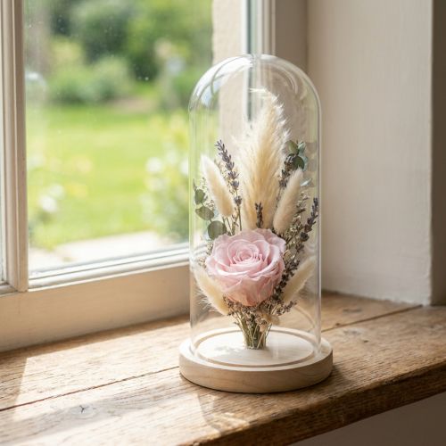 tételeket Üveg áthidaló üvegharang tiszta fa alappal Ø14cm H28,5cm