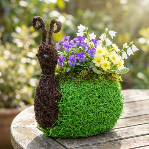 Ültető Csiga Szőlő Natúr, Zöld 21x14cm H26cm | Floristik24.hu