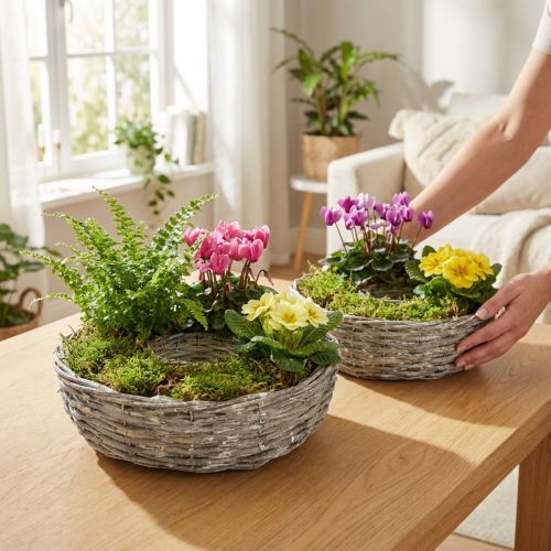 Fehér fűzfa virágcserép, 2 db-os szett, Ø25/30cm, dekoratív szobanövényekhez | Floristik24.hu