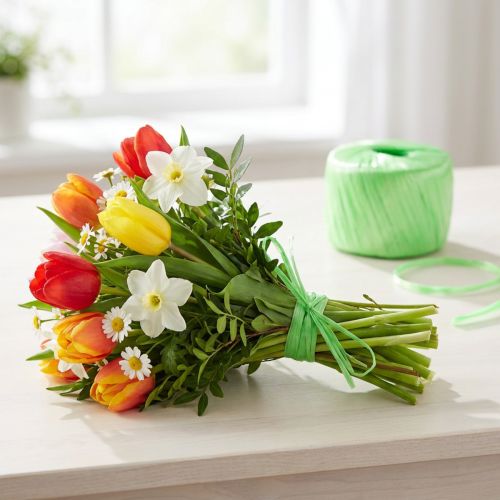 Kötés raffia zöld világoszöld mesterséges raffia kertész raffia W5mm L400m | Floristik24.hu