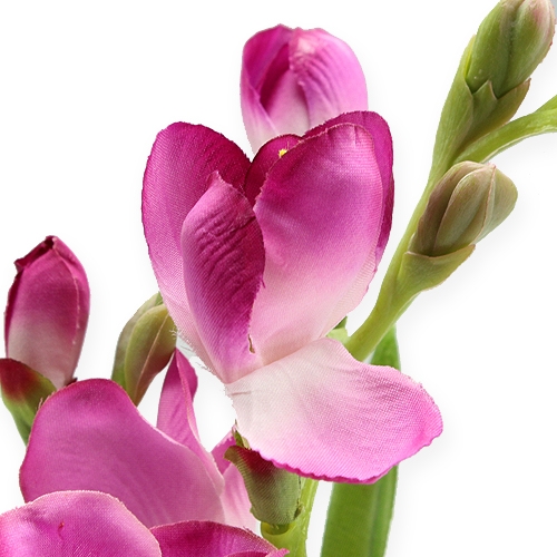 Floristik24 Művirág Fresien 56cm 3db.