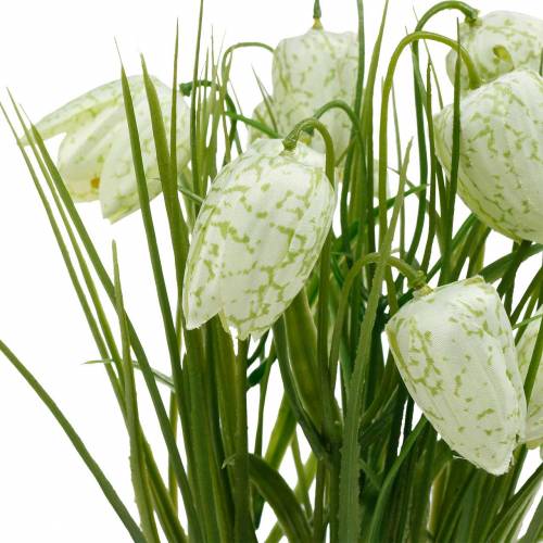 Floristik24 Fritillaria cserépben, sakktábla virág zöld-fehér, művirág