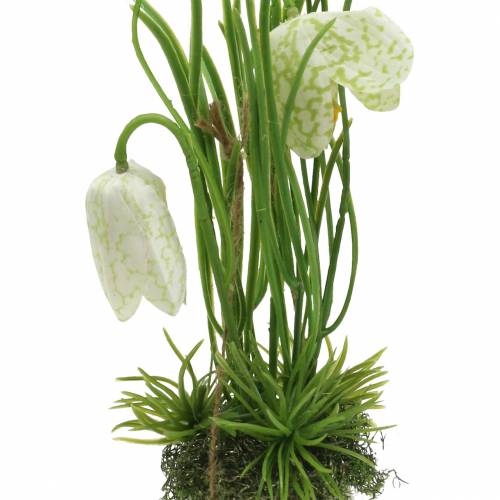 Floristik24 Fritilaria a tojáshéjban akasztani mesterségesen zöld, fehér 25cm
