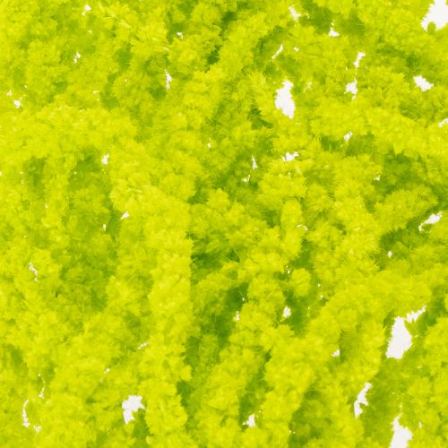 tételeket Rókafű szárított virágok, festettek, különleges lakberendezéshez és egyedi kiegészítőkhöz, 100 cm, 5 darab