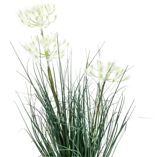 Floristik24 Bulrush Grass Művirág Művirágok cserépben 56cm