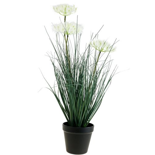 Floristik24 Bulrush Grass Művirág Művirágok cserépben 56cm