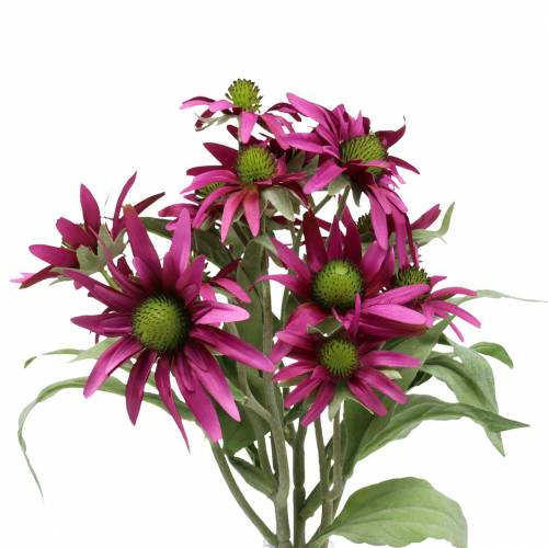 Floristik24 Echinacea virág műhanga 45cm 3db