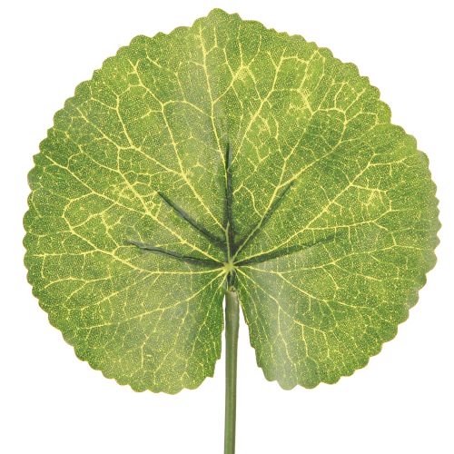 Galax Urceolata levelek mesterséges zöld Ø10cm L23cm 12 db