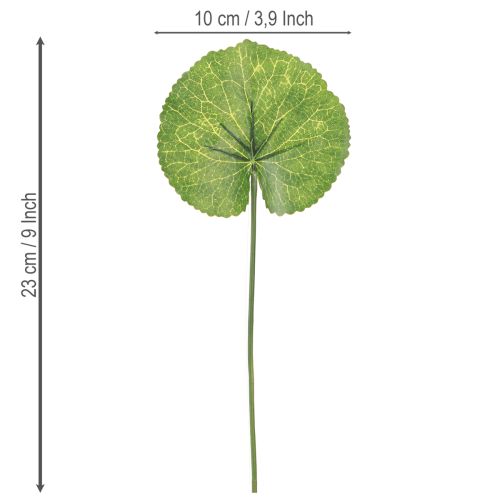 tételeket Galax Urceolata levelek mesterséges zöld Ø10cm L23cm 12 db