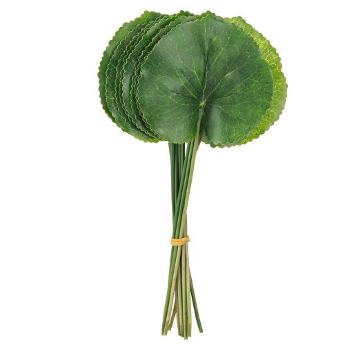 tételeket Galax Urceolata levelek mesterséges zöld Ø10cm L23cm 12 db