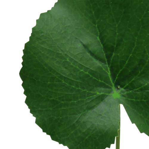 Floristik24 Bronz lap Galax műzöld Ø9cm H30cm 12db