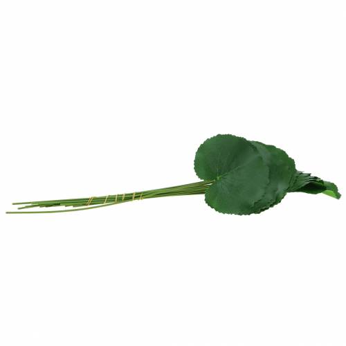 Floristik24 Bronz lap Galax műzöld Ø9cm H30cm 12db