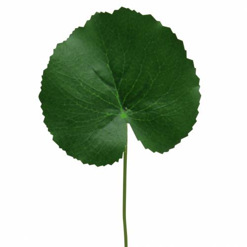 Floristik24 Bronz lap Galax műzöld Ø9cm H30cm 12db