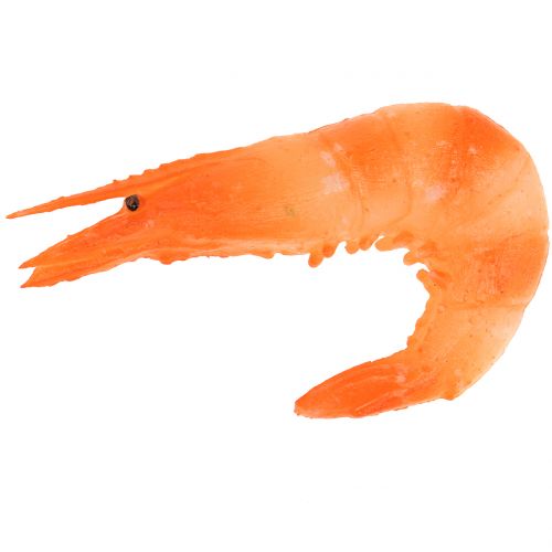 Floristik24 Mesterséges garnélarák 9cm 6db