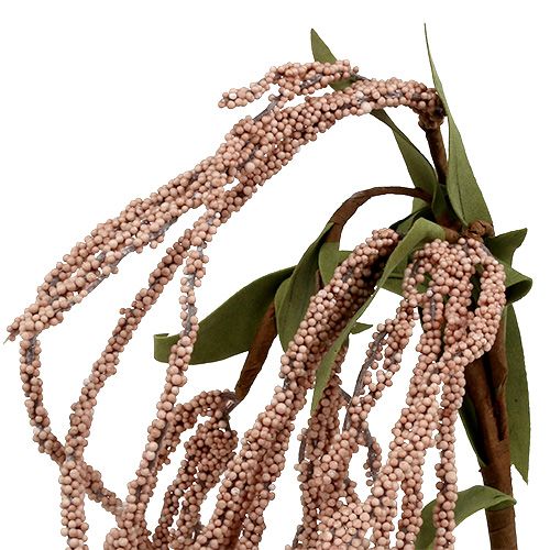 Floristik24 Kerti rókafarok 95cm