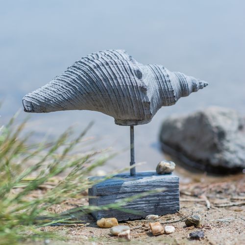 tételeket Kerti figura kagyló állványon H30cm