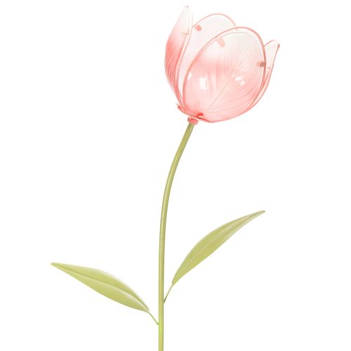 Kerti dísztulipán virágágyásokba és szegélyekbe 94 cm