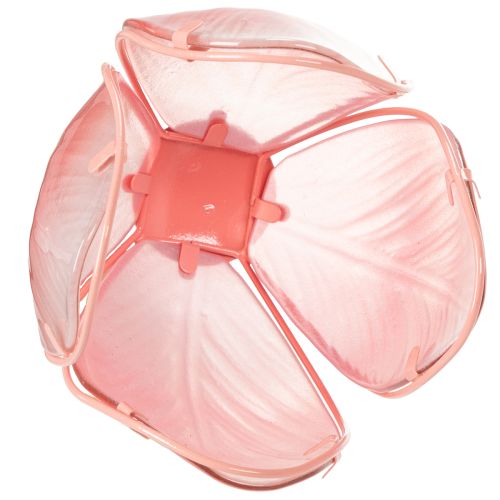 tételeket Kerti dísztulipán virágágyásokba és szegélyekbe 94 cm