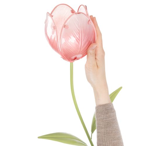 Kerti dísztulipán virágágyásokba és szegélyekbe 94 cm | Floristik24.hu