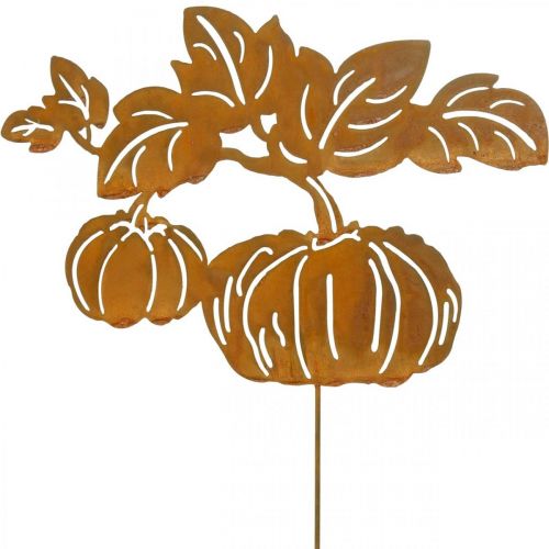 Floristik24 Kerti karó tök rozsda Kerti dekoráció őszi fém 57cm