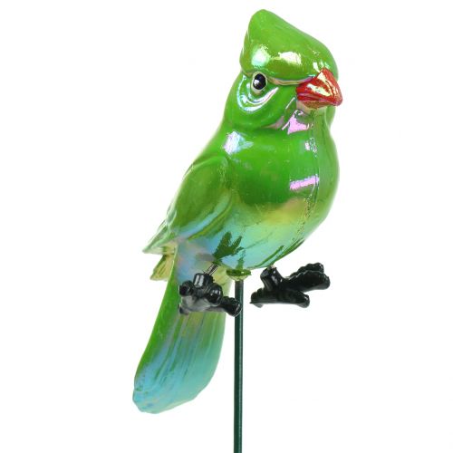 Floristik24 Kerti dugó papagáj zöld 16cm