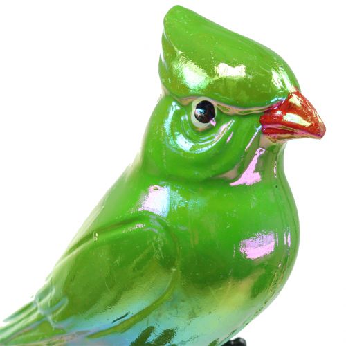 tételeket Kerti dugó papagáj zöld 16cm