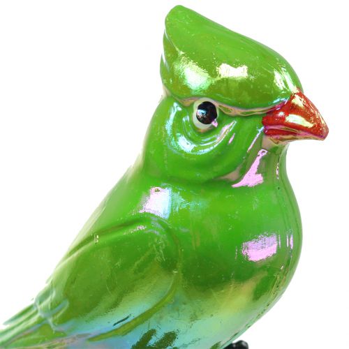 Floristik24 Kerti dugó papagáj zöld 16cm