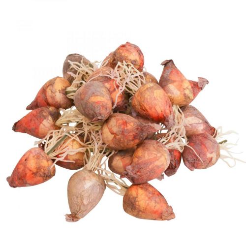 Növényi dekoráció mini cékla mesterséges Ø2,5cm H3,5cm 24 db