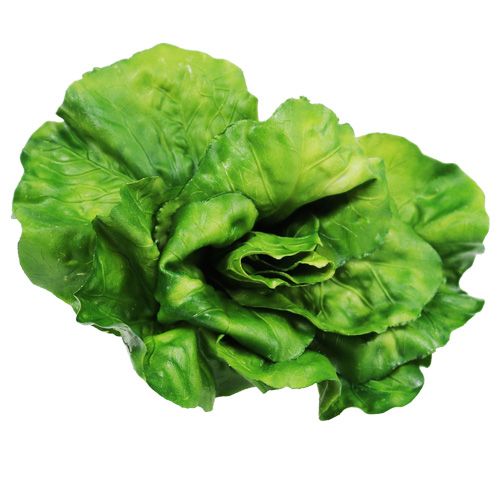 Floristik24 Zöldségválaszték a neten