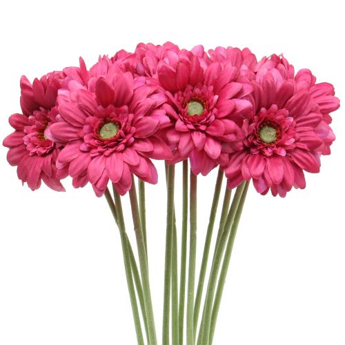 Floristik24 Gerbera Pink 48cm 12db