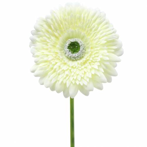 tételeket Gerbera műfehér 62cm 6 db