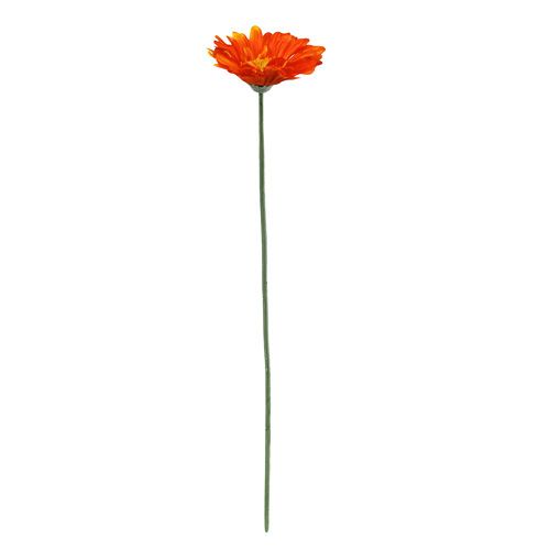 Floristik24 Gerbera Orange Ø10cm L55cm 6db