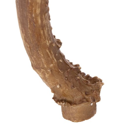 Műagacs, élethű, rusztikus, 32