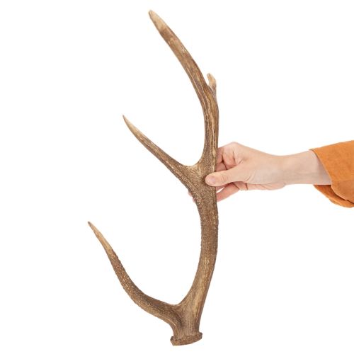 Dekoratív műagancs, rusztikus faház dekoráció, 50cm | Floristik24.hu