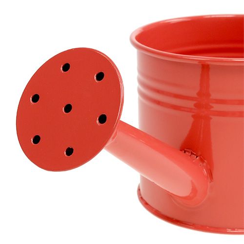 Floristik24 Öntözőkanna Orange Mix Ø11cm H9cm 8db