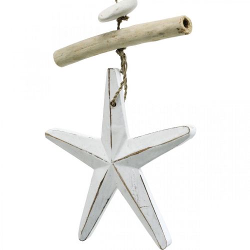 tételeket Tengeri dekoráció füzér uszadékfából készült csikóhal, csillag 25 cm-es 2db-os készlet