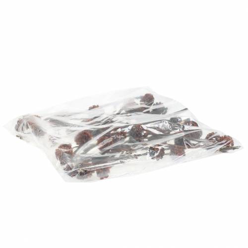 tételeket Glabrum Leucospermum szárított virágok 25-40cm 25 db