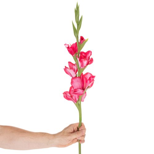 Műkardvirág díszvirágokkal, 88cm | Floristik24.hu