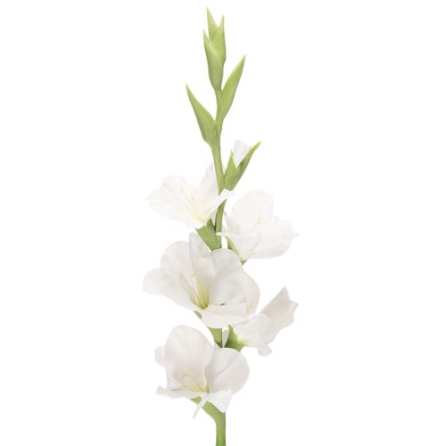 Műkardvirág, hosszú szárú, vázába, 88 cm vétel | Floristik24.hu