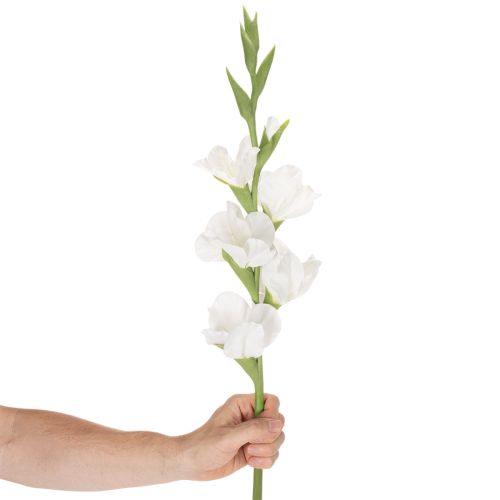 Műkardvirág, hosszú szárú, vázába, 88 cm | Floristik24.hu