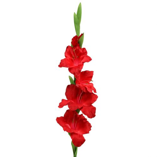 Floristik24 Gladiolus piros mű 86cm