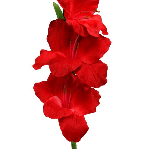 Floristik24 Gladiolus piros mű 86cm