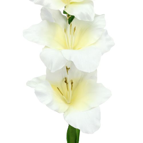 tételeket Gladiolus fehér 86cm mű