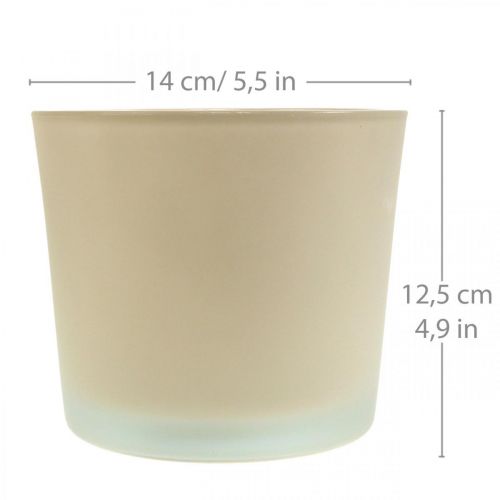 Floristik24 Üveg virágcserép bézs virágtartó üvegcserép Ø14,5cm H12,5cm