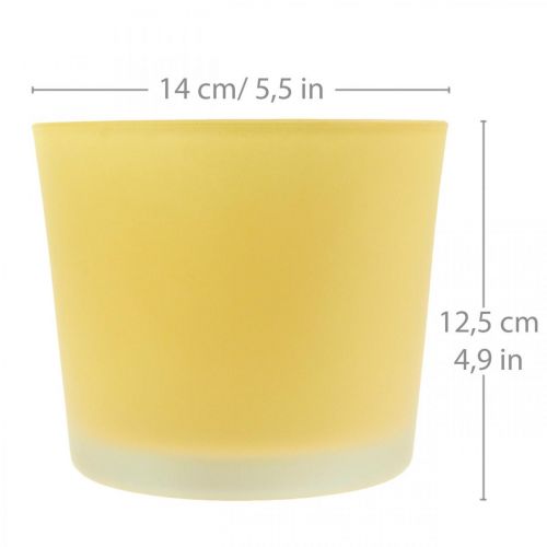 tételeket Üveg virágcserép sárga cserepes üveg kád Ø14,5cm H12,5cm