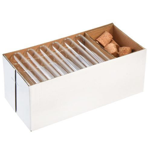 Floristik24 Mini vázák üveg dekoratív üvegcsövek dugókkal H11,5cm 24 db