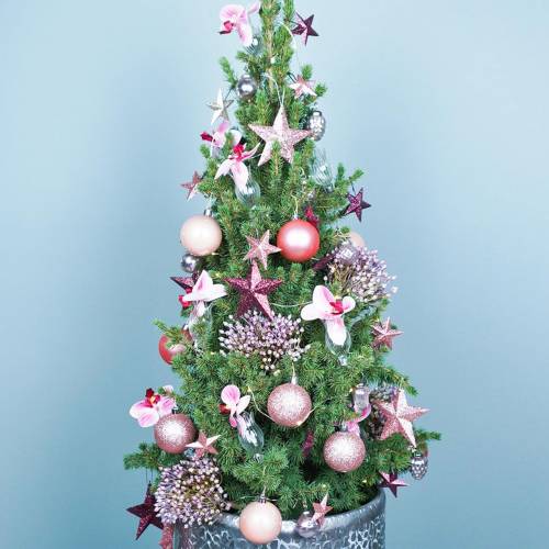 Floristik24 Üvegváza klip virággal Ø3,3cm H8,5cm átlátszó 4db