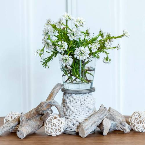 Floristik24 Üvegváza átlátszó Ø8,5cm H8cm 6db